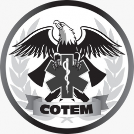 gallery/logo cotem